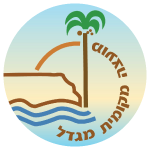 מועצה מקומית מגדל