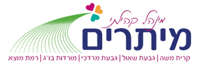 מת"נס מיתרים