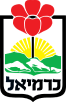 עיריית כרמיאל | IMS טפסים