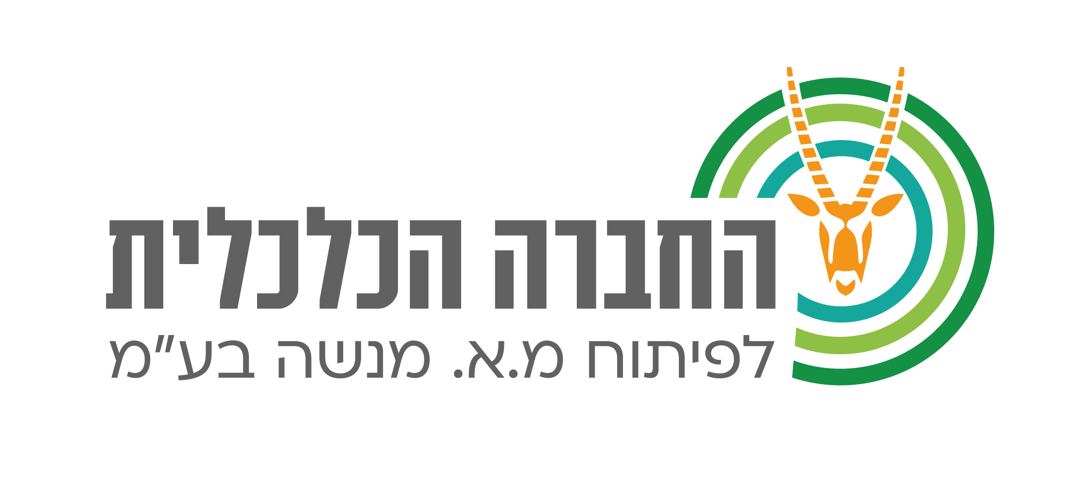 החברה הכלכלית לפיתוח מ.א מנשה בע"מ