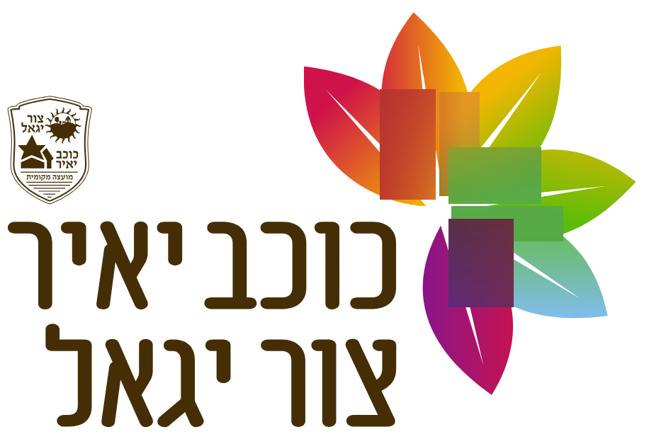 כוכב יאיר | IMS טפסים