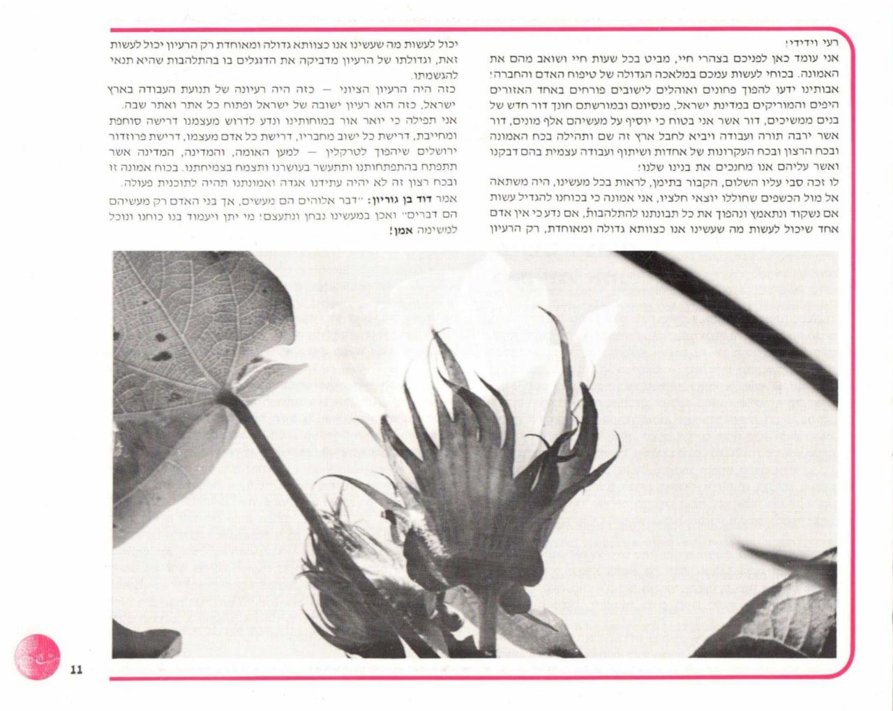 Page Background